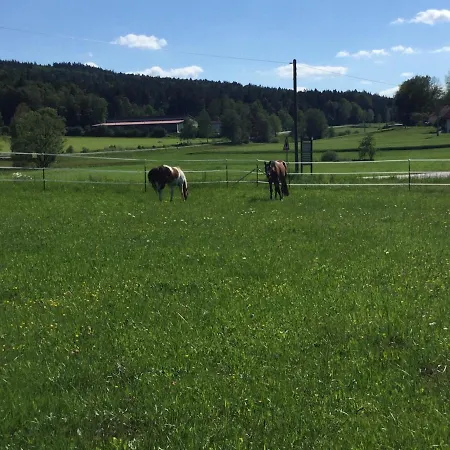 アパート Haus Am Treffenbach
