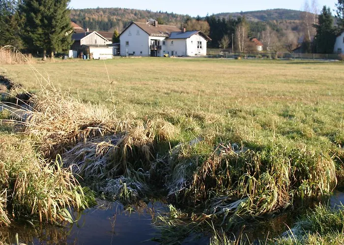 Haus Am Treffenbach 公寓